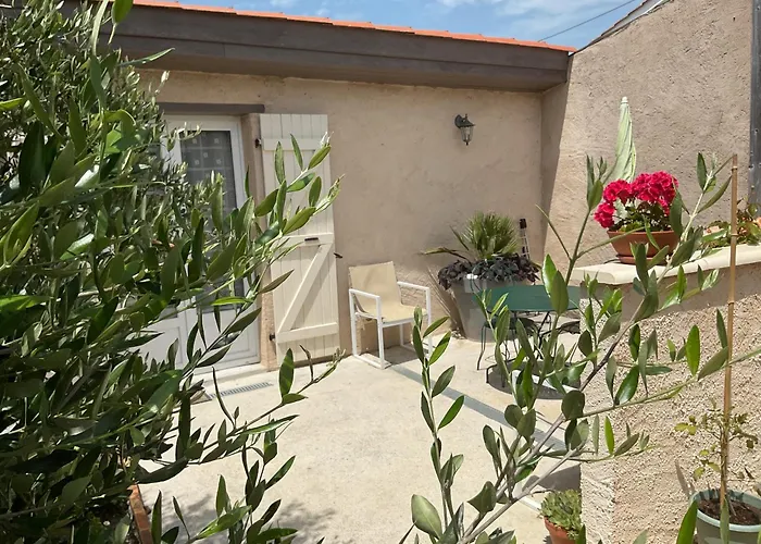 L'orchidée Сasa de vacaciones